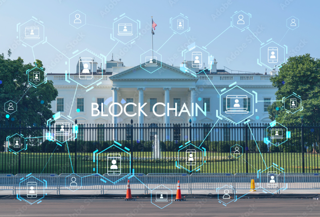 Blockchain in Government: Enhancing Transparency and Efficiency - Improving government processes with blockchain