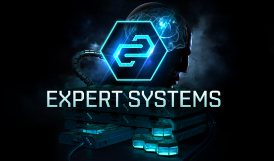 Expert Systems