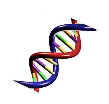 Genetic Algorithms: The Code of Life